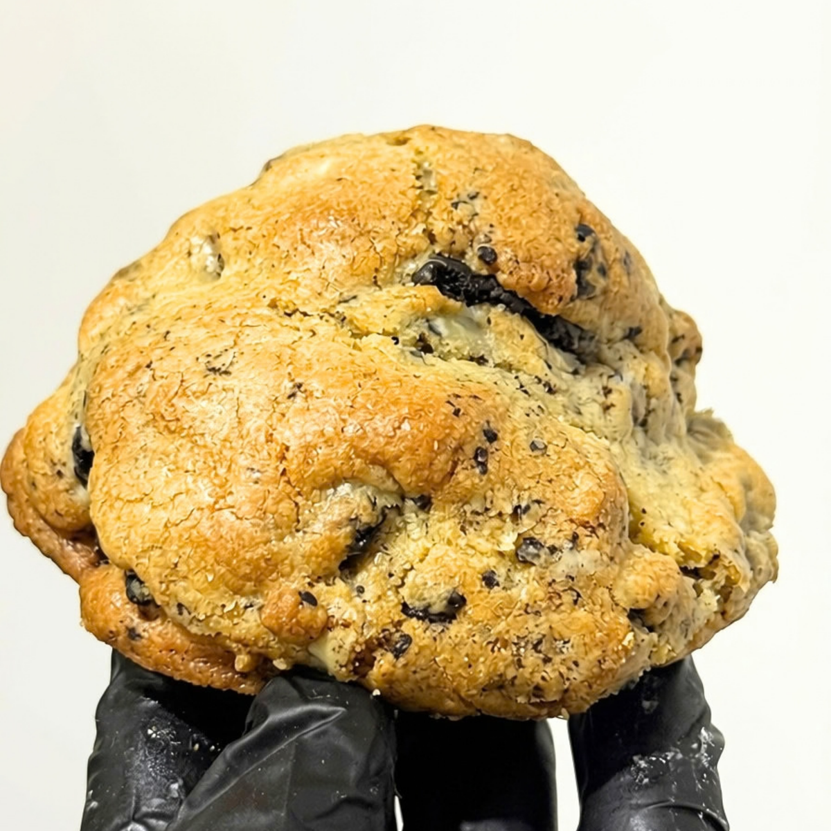 Gourmet Cookies & Cream