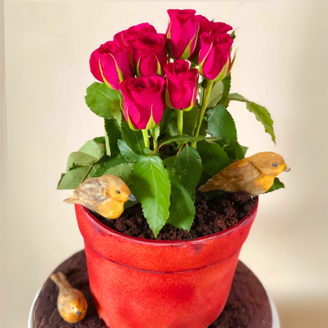Plant Pot Cake - Birthday Cake