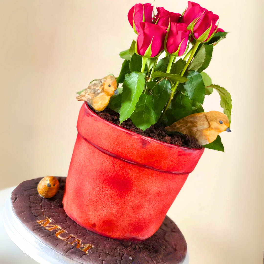 Plant Pot Cake - Birthday Cake