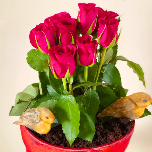 Plant Pot Cake - Birthday Cake